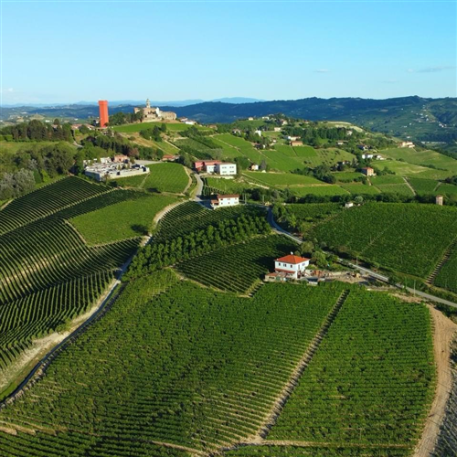 Vini e vigneti, tradizione e futuro